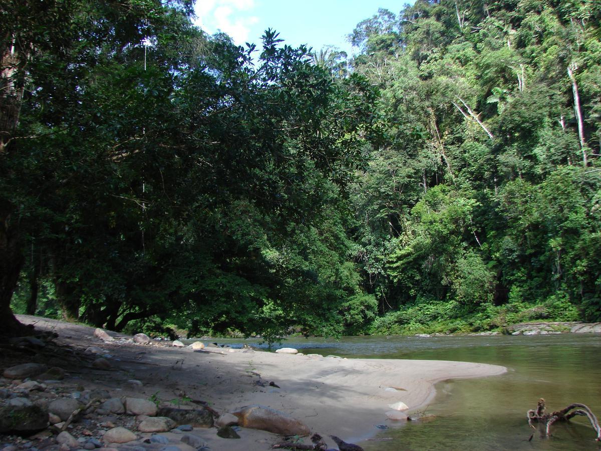 Playaselva Reserva Biologica Archidona Exterior photo